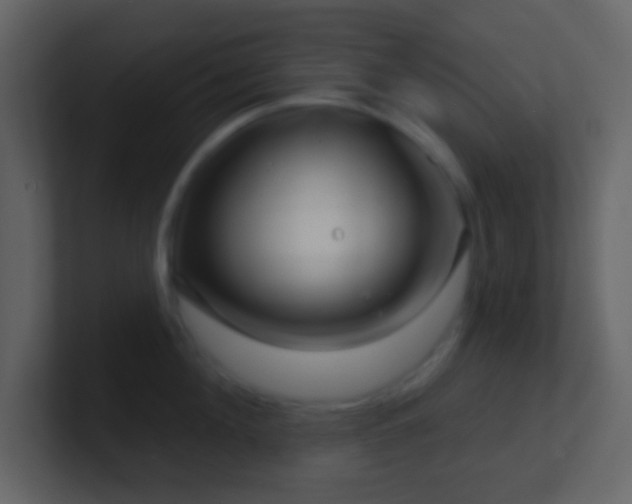 X0000101470908200807071440