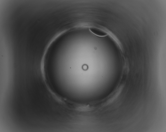 X0000101470909200807071440