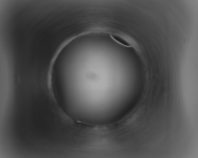 X0000101470912200807071440