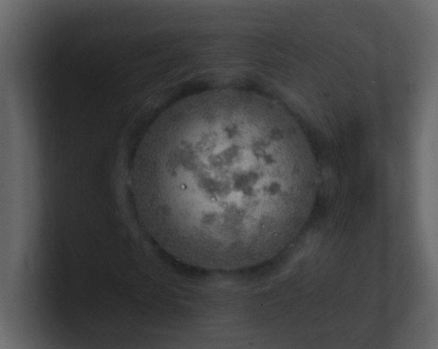 X0000101470913200807071440