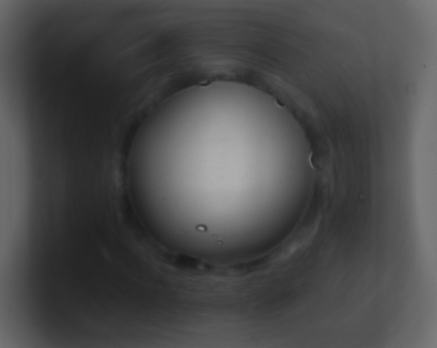 X0000101470916200807071440