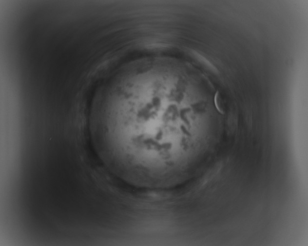 X0000101470917200807071440