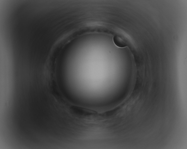 X0000101470919200807071440