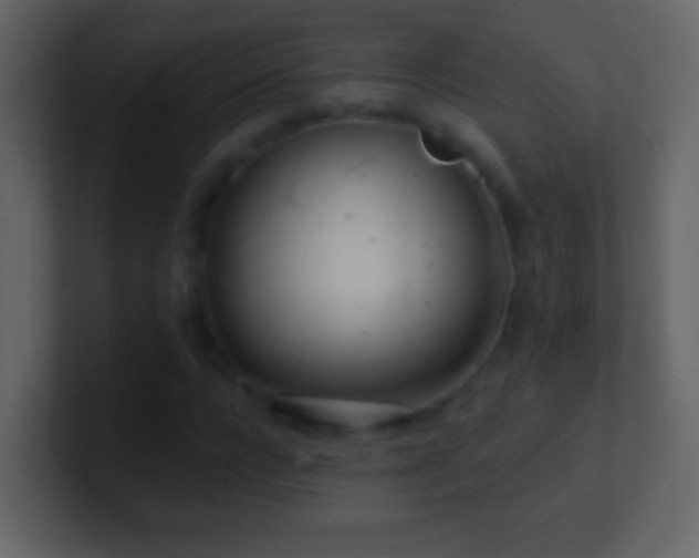 X0000101470920200807071440