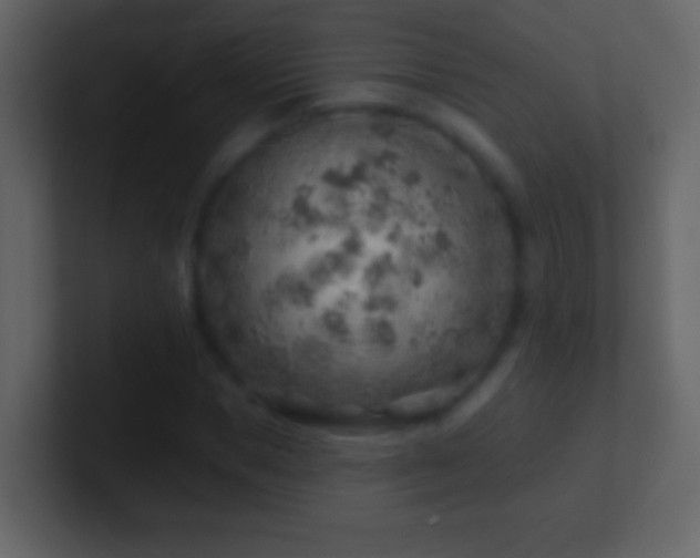 X0000101470921200807071440