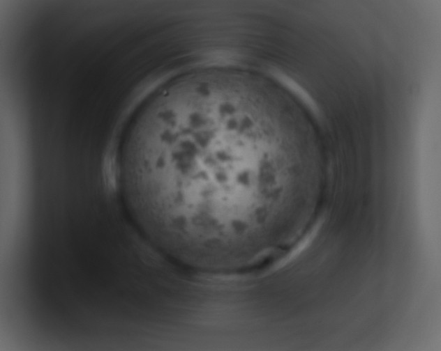 X0000101470925200807071440