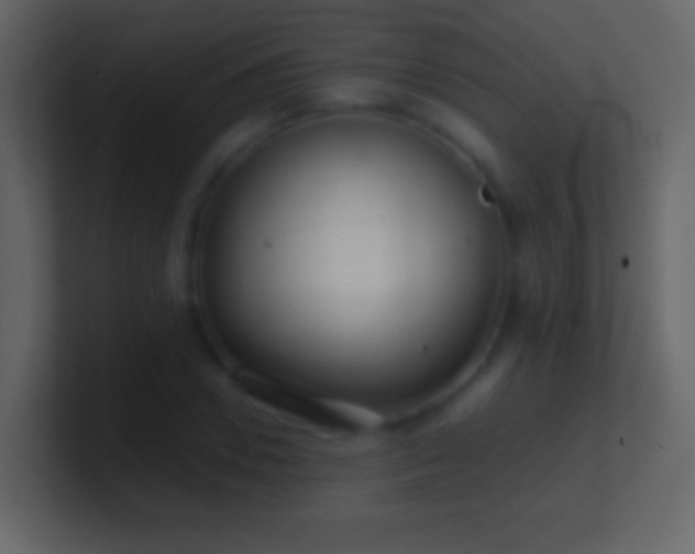 X0000101470930200807071440