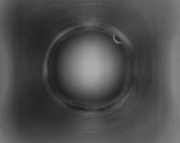 X0000101470932200807071440