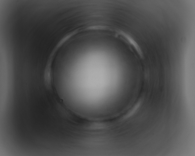 X0000101470933200807071440