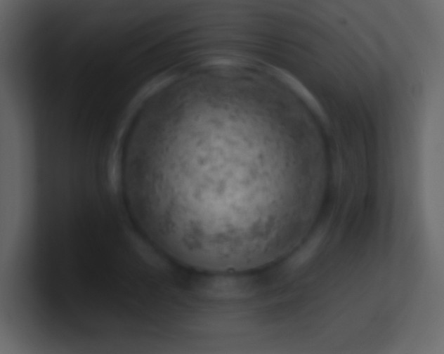 X0000101470938200807071440