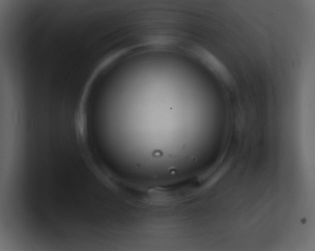 X0000101470940200807071440