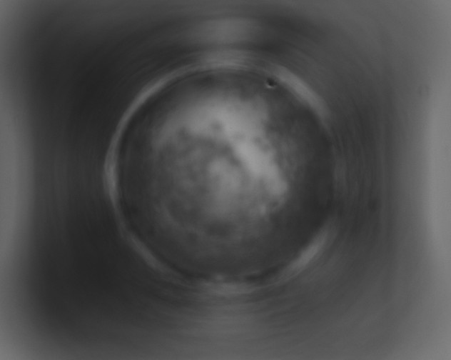 X0000101470941200807071440