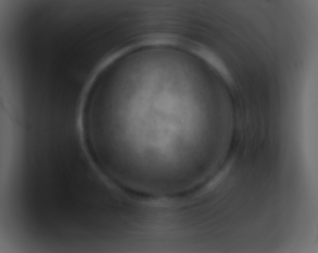 X0000101470943200807071440