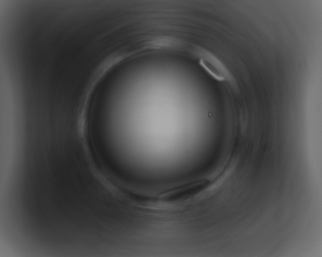 X0000101470946200807071440