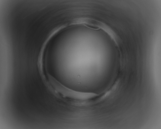 X0000101470949200807071440