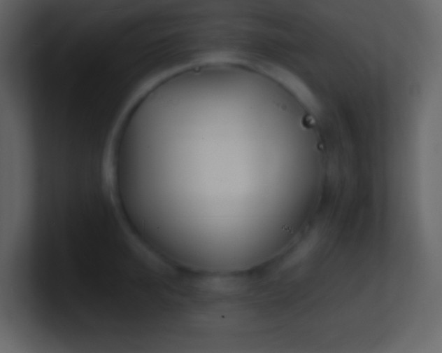 X0000101470950200807071440