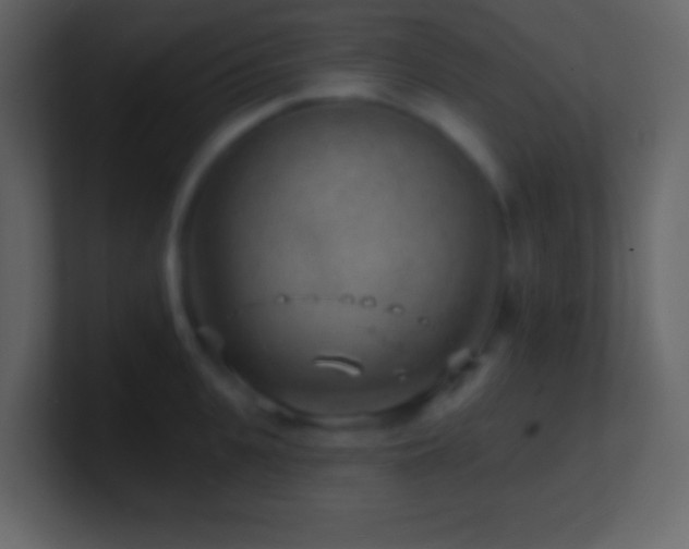 X0000101470951200807071440