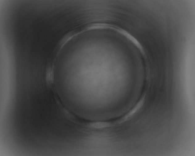 X0000101470953200807071440