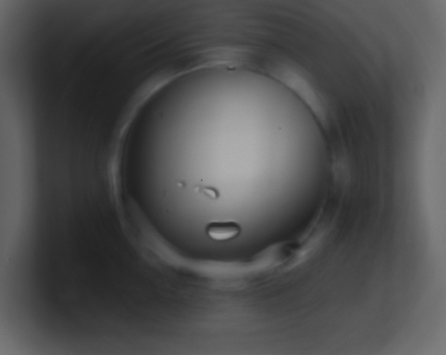 X0000101470954200807071440