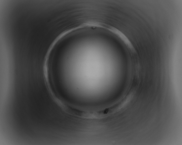 X0000101470955200807071440
