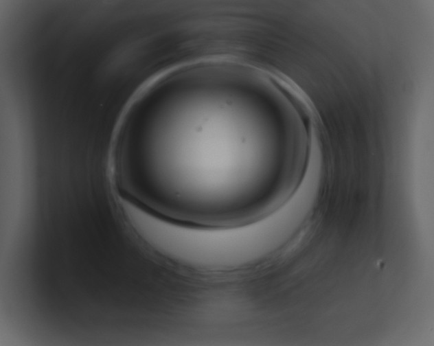 X0000101470956200807071440