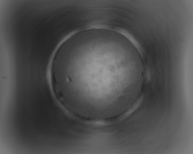 X0000101470957200807071440