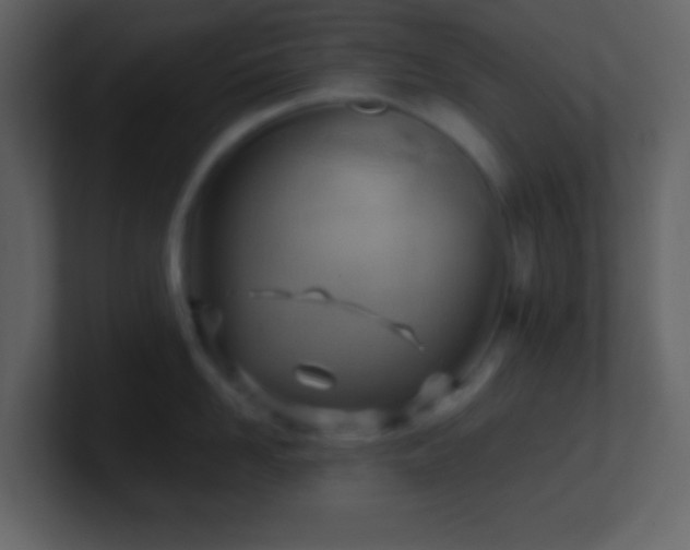 X0000101470958200807071440