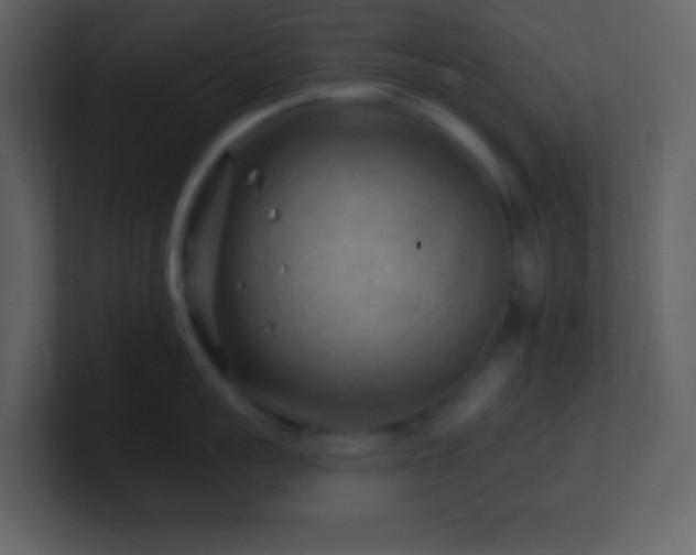 X0000101470959200807071440