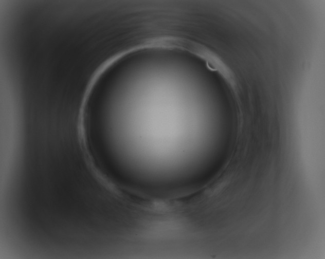 X0000101470960200807071440