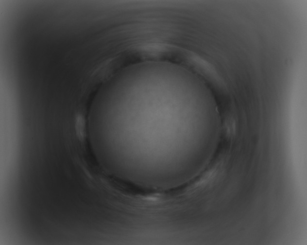 X0000101470964200807071440