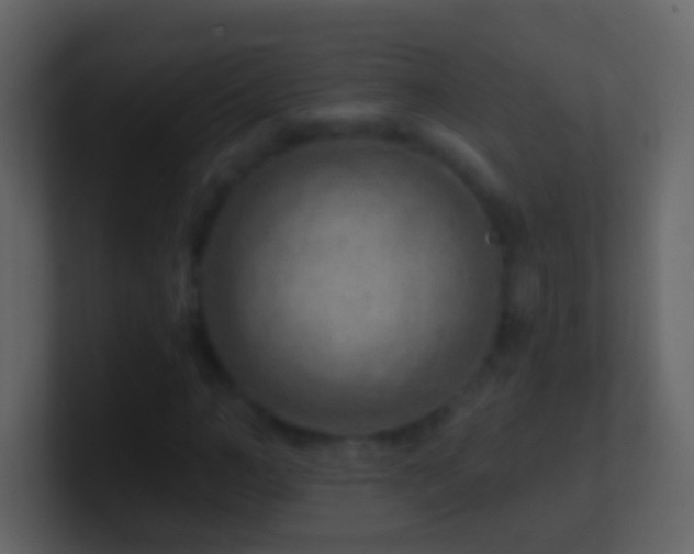 X0000101470966200807071440