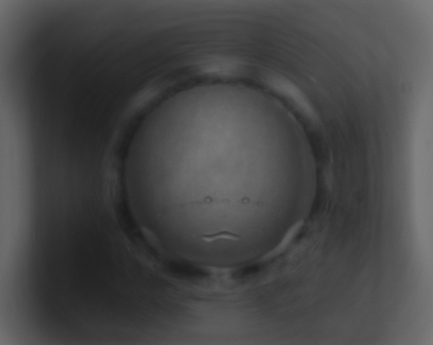 X0000101470968200807071440
