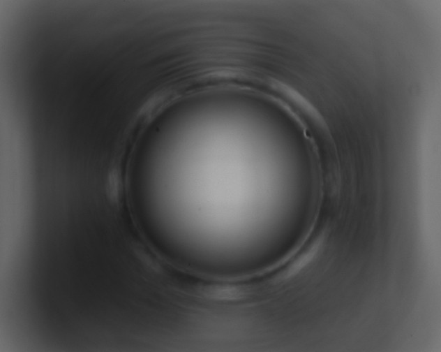 X0000101470969200807071440
