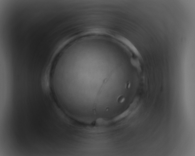 X0000101470972200807071440