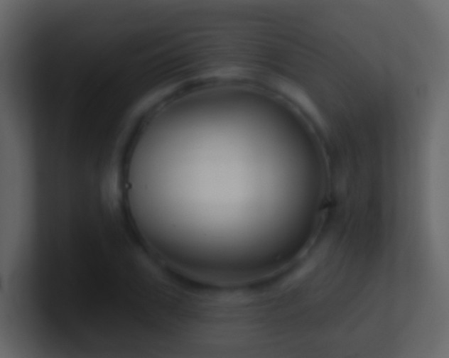 X0000101470979200807071440