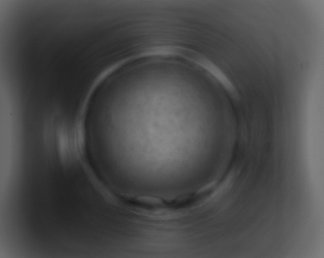 X0000101470980200807071440