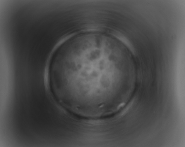 X0000101470983200807071439