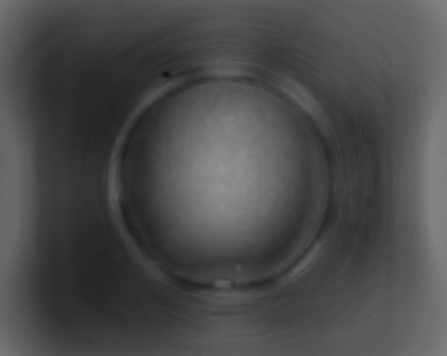 X0000101470984200807071439