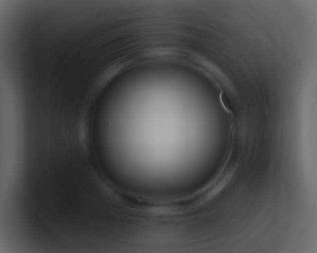X0000101470985200807071439