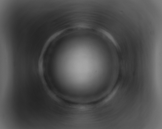 X0000101470987200807071439
