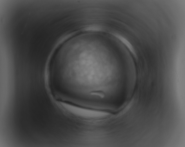 X0000101470992200807071439