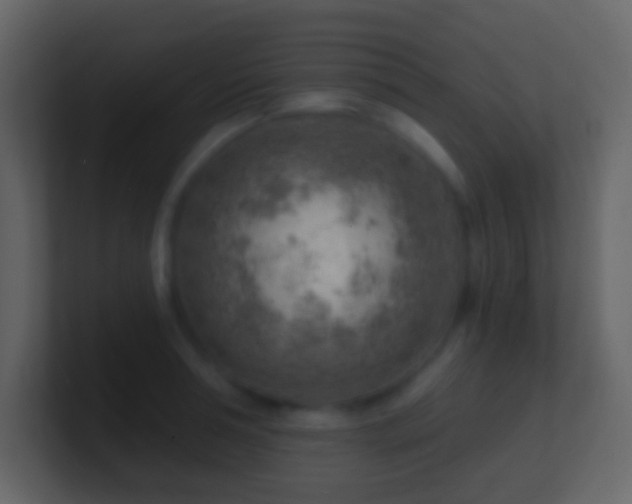 X0000101470994200807071439