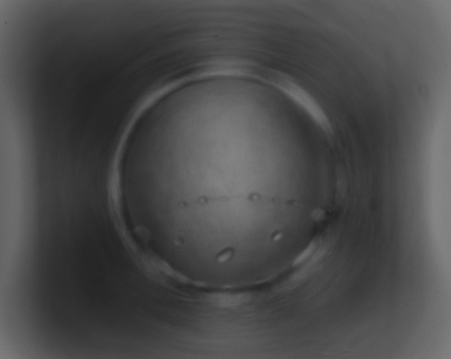 X0000101470996200807071439
