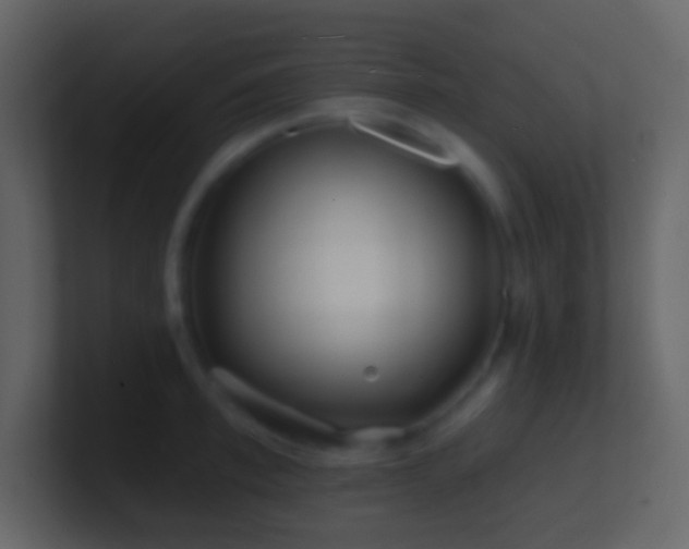 X0000101470997200807071439