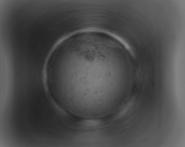 X0000101470998200807071439