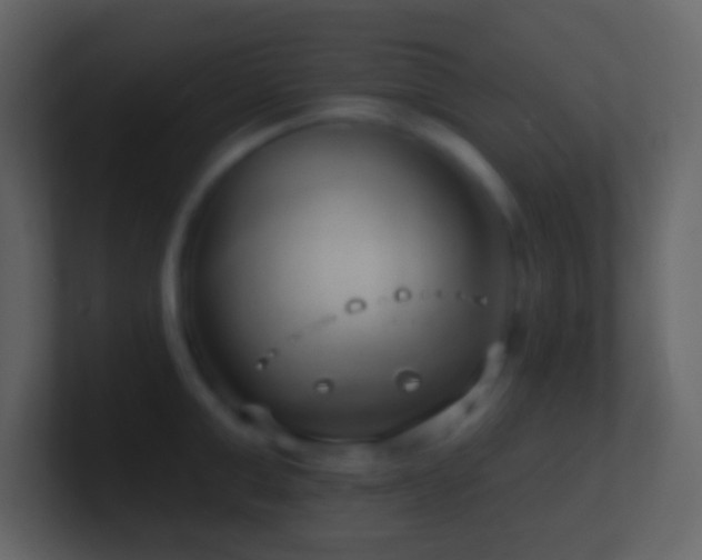 X0000101470999200807071439