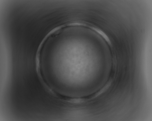 X0000101471000200807071439