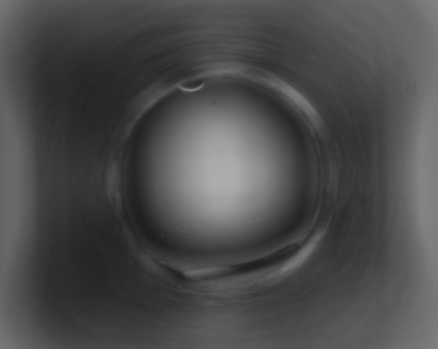 X0000101471001200807071439