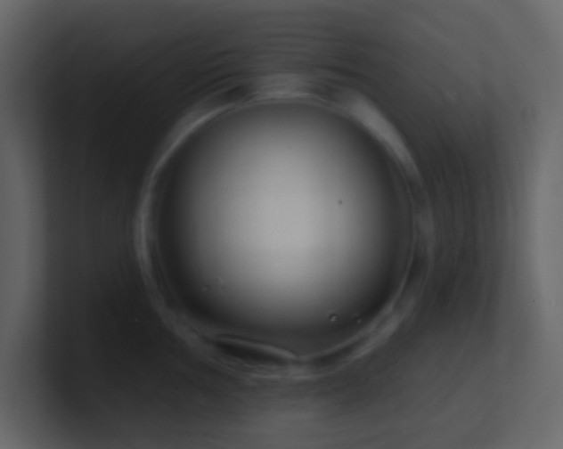 X0000101471002200807071439