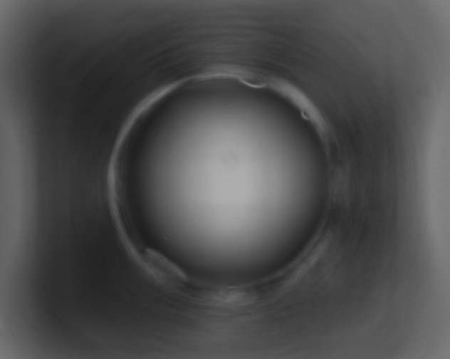 X0000101471003200807071439